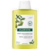 Klorane - Shampoo al Cedro 200 ml - Proprietà purificanti e fresche