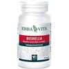 Erba Vita - Boswellia serrata 60 cps 400 mg - Integratore per il benessere muscolare