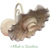 Ceramica Sarda Applique artigianale sarda con piatto pavoncella ondulato struttura bianco opaco fatta a mano in ceramica 1XE27 400/B/20