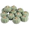 Whaline Zucche artificiali sfuse vintage di zucca verde, zucca realistica, zucca finta schiuma, per autunno, Halloween, casa, festa del Ringraziamento, cucina, decorazioni per matrimoni (12 pezzi)