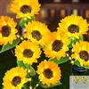 JIMACRO Confezione da 2 lampade solari da giardino a forma di girasole, 6 luci solari artificiali, impermeabili, luci decorative per esterni, per vialetti, cortili, decorazioni natalizie