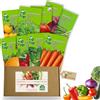Nojaus Sėklos Nojus Set di semi di ortaggi premium - 16 confezioni - Kit di avviamento per semi di piante varie - Semi da giardino Piante Biologici - Scatola di semi di ortaggi 16 varietà