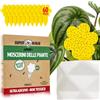 Super Ninja Trappole anti Moscerini delle Piante - 60 Pezzi, Esche Adesive Eco, Catturano i Moscerini del Terriccio in Casa, Senza Insetticidi, Sicure per uso Interno/Esterno, Durata 3 Mes