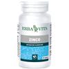 ERBA VITA GROUP SpA Zinco 60cps