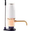 BANGDILS Aeratore per vino elettrico, decanter per vino One Touch, aeratore per vino intelligente e dispenser automatico per vino con ricarica USB, miglior regalo per gli amanti del vino