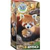 EuroGraphics Panda rossi