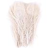GETOUT Ghulumn 50 Pezzi/Pavone Bianco Naturale Piume Occhio, 10 12 Pavone Decorazione Matrimonio