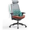 COLAMY Sedia da ufficio ergonomica in rete con schienale alto, sedia da ufficio con supporto lombare, poggiatesta regolabile e braccioli 4D, corallo e grigio