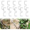 JAMSSOW 10 Pezzi 13cm Supporto per Estrattore di Rami di Frutta,Estrattore per Rami di Albero,Estrattori per Rami da Frutto,Albero da Frutto Estrattore di Ramoscelli per Alberi da Giardino Rami