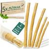 ESVED Miswak - Spazzolino da denti [confezione da 5] + contenitore per alimenti - naturale, non necessita di dentifricio/acqua