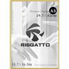 Risgatto - Cornice portafoto A3 (30 x 42 cm) in Alluminio, con cornice in metallo sottile in acrilico HD, Cornice per Documenti 29,7x42 cm, per decorazione domestica, esposizione di foto | Oro
