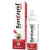 Banzapid spray trattamento 100 ml