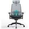 COLAMY Sedia da ufficio ergonomica in rete con schienale alto, sedia da ufficio con supporto lombare, poggiatesta regolabile e braccioli 4D, colore nero e grigio