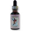 Colibri Hummingbird Ess 30Ml
