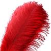 VoilaLove 10 Pezzi Naturali Piume di Struzzo mestiere 16~18 Pollici (40~45 cm) pennacchio per centrotavola di Nozze Decorazione Domestica (Rosso)