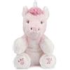 GUND Alora, l'unicorno, peluche interattivo di circa 30 cm, canta una canzone ABC e una canzone da 123, parla, applaude le mani e il corno si illumina a partire da 10 mesi