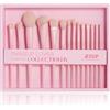Jessup pennelli trucco Rosa Set pennelli make up 14 pezzi Set pennelli viso per fondotinta vegano premium correttore fard ombretto eyeliner Confezione regalo T495-G