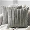 Topfinel 45x45 Copridivano in velluto a coste Elegante Cuscino decorativo quadrato grigio chiaro per il soggiorno Set di cuscini con cerniera invisibile per la camera da letto moderna Set di 2 pezzi