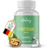 Vitabay - amminoacidi essenziali di L triptofano 500 mg 240 compresse | vegane - integratore - 1 compressa al giorno