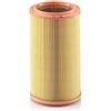 Mann Filter MANN-FILTER, C 1586 Filtro aria | Per Autovetture, Aria pulita, Filtro resistente, Design con adattamento perfetto, Qualità originale OE
