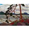 Fine Art Prints Poster murale con stampa artistica di Tom Thomson The West Wind extra large