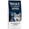 Wolf of Wilderness Multipack risparmio! 2 x 12 kg Wolf of Wilderness Adult The Taste Of Crocchette senza patate - Scandinavia - con Renna & Salmone