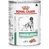 ROYAL CANIN ITALIA SpA VHN WET DOG DIABETIC SPEC 410G