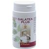 Galatea plus 100 capsule
