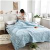 FANSU Copriletto Trapuntato Matrimoniale Singolo Elegante Reversibile Coperta Trapunta Primaverile Estivo Antipolveri Copri Letto per Camera da Letto (200x230cm,Blu)
