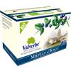 Valverbe Tisana Mirtillo di Bosco (20 filtri) 30g BIO