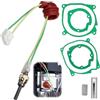 UQTUKO Candeletta Universale in Ceramica, 2KW 5KW/8KW riscaldatore da 12V kit di riparazione per candelette per Riscaldamento ad Aria, Diesel, Parcheggio, Auto
