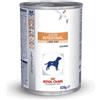Royal Canin Veterinary Diet Royal Canin Cane V-Diet Gastro Intestinal Low Fat Umido - 410 g