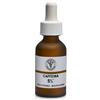LFP ATTIVO CAFFEINA 20ML