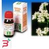 SPECCHIASOL SRL VALERIANA 36 TINTURA MADRE 50 ML