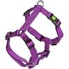 I.G.C. Srl LEOPET PET MIAMI 75-100 25