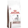Antica Farmacia Orlandi ROYAL CANIN CANE HEPATIC 7 KG