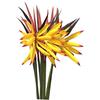 DODXIAOBEUL Uccello del Paradiso medio 50,5 cm, fiori artificiali per esterni, resistenti ai raggi UV, non sbiadiscono, piante in plastica finta, stelo per fiori, 5 mm, piccoli fiori, per casa, ufficio, 8 pezzi