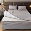 ELYSYSRL Coprimaterasso Matrimoniale con Cerniera 160x190/180x200 Copri Proteggi Materasso Imbottito, Singolo Proteggi Materasso con Angoli Letto Traspirante Lenzuolo Lavabile(Gray,90x190+20cm)