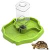 Fayemint 1 Pezzi Distributore di Acqua per Rettili, Abbeveratoio per Tartarughe di Terra, Ciotola d'acqua per Tartarughe, Adatto per Tartarughe, Gechi, Serpenti, Rane e Altri Rettili Domestici (Verde)