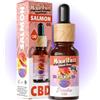 Mauritius Island Dogs Paradise Olio 10% CBD Animali Domestici Ingredienti Naturali Tassello Legno 240 Gocce Prima Qualità Cani Gatti Prodotto nell'UE Salmone Rilassante Dolore Tranquillizzante Ansia Stress Articolazioni