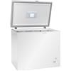 Pozzetto Congelatore Negativo Statico - Mod. Ax250cf - Temp. -18°c - Dim. Cm. L95xp64,4x84,5h