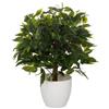 hjh OFFICE pianta artificiale 65 cm FICUS II pianta artificiale decorativa, fico di betulla, albero artificiale di facile manutenzione