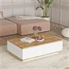 LBSIGN Tavolino Basso Da Salotto 90x60x28 Con Vani Interni Bianco E Rovere Frame