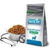 RUSSO MANGIMI SpA VET LIFE NAT CAN H EGG&RICE2KG