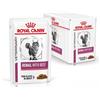 ROYAL CANIN ITALIA VHN WET CAT RENAL BEEF 12X85G