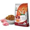 RUSSO MANGIMI SpA N&D GF P CHIC&POM AD M/MAX2,5K