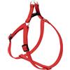 Accessori e Giochi Cani e Gatti