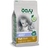 WONDERFOOD SpA OASY DRY CAT AD MAIALE 300G NP