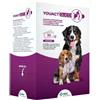 MSD ANIMAL HEALTH YOUACT GLICO 30BUST