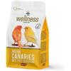 PADOVAN WELLNESS MIX CANARINI 1 KG